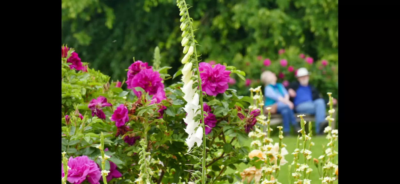 Is summer finally here? Find out this weekend.