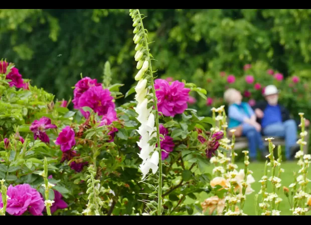 Is summer finally here? Find out this weekend.