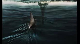 Is it possible for a great white shark to make its way into the Seine river?