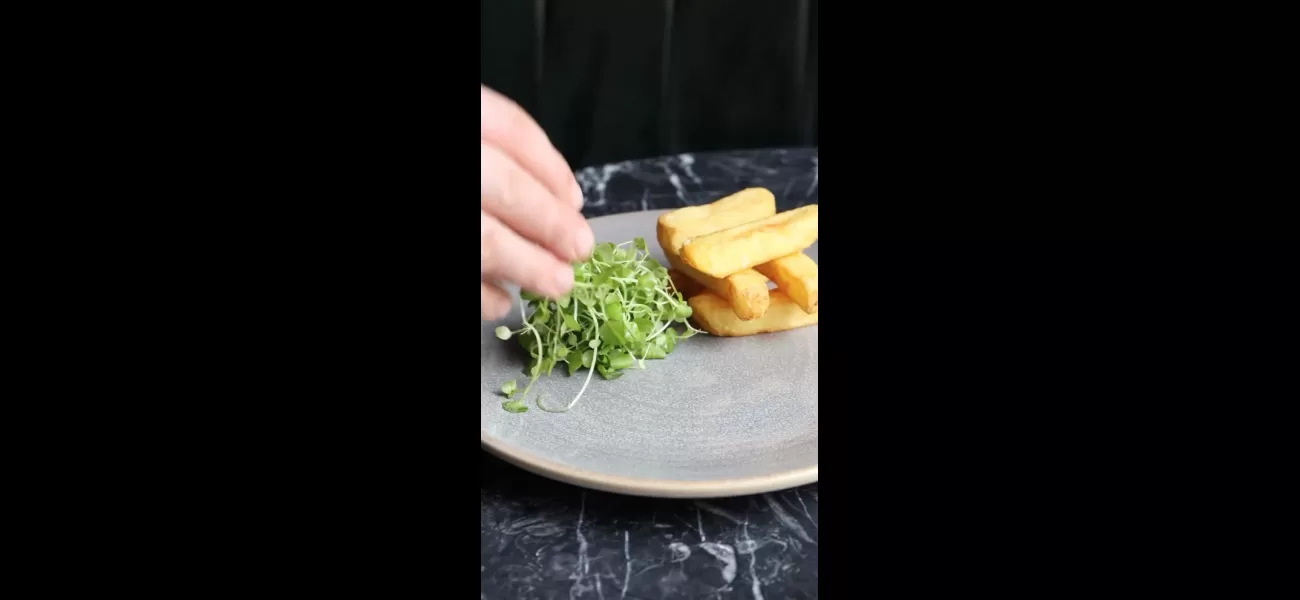 Gordon Ramsay's expensive restaurant meal criticized for only serving six chips for £19.50.