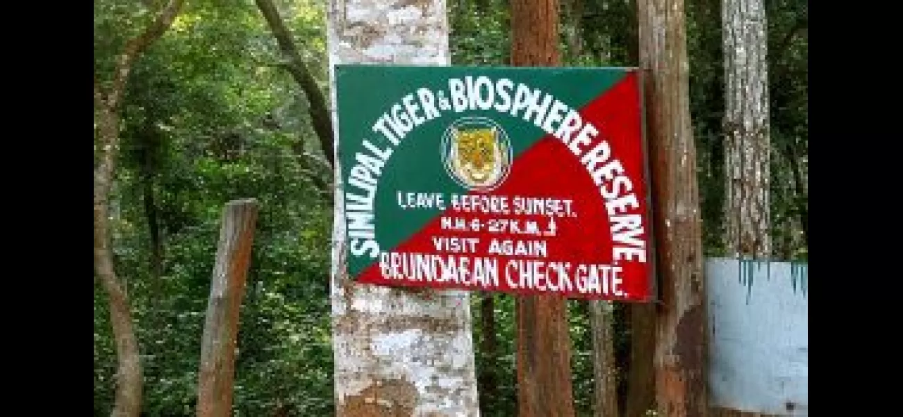 Similipal Tiger Reserve will be closed for tourists starting June 12.