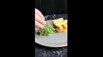 Gordon Ramsay's expensive restaurant meal criticized for only serving six chips for £19.50.