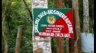 Similipal Tiger Reserve will be closed for tourists starting June 12.
