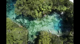 Discover why Florida is the perfect destination for you.