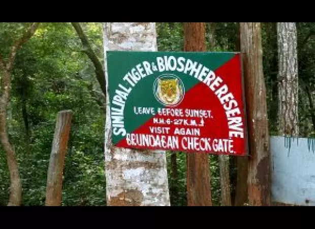 Similipal Tiger Reserve will be closed for tourists starting June 12.