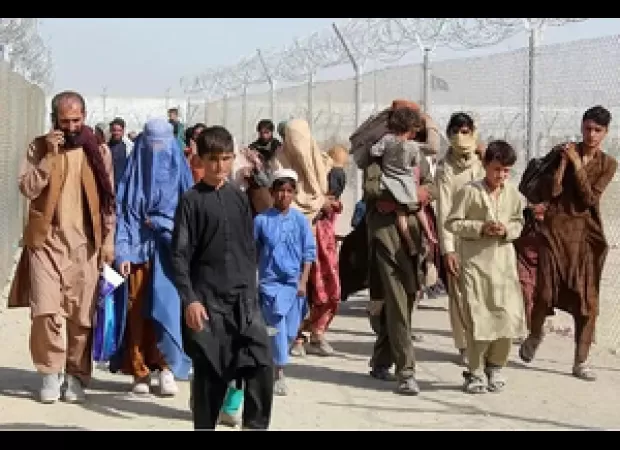 Hundreds of Afghan refugees have gone back to their home country.