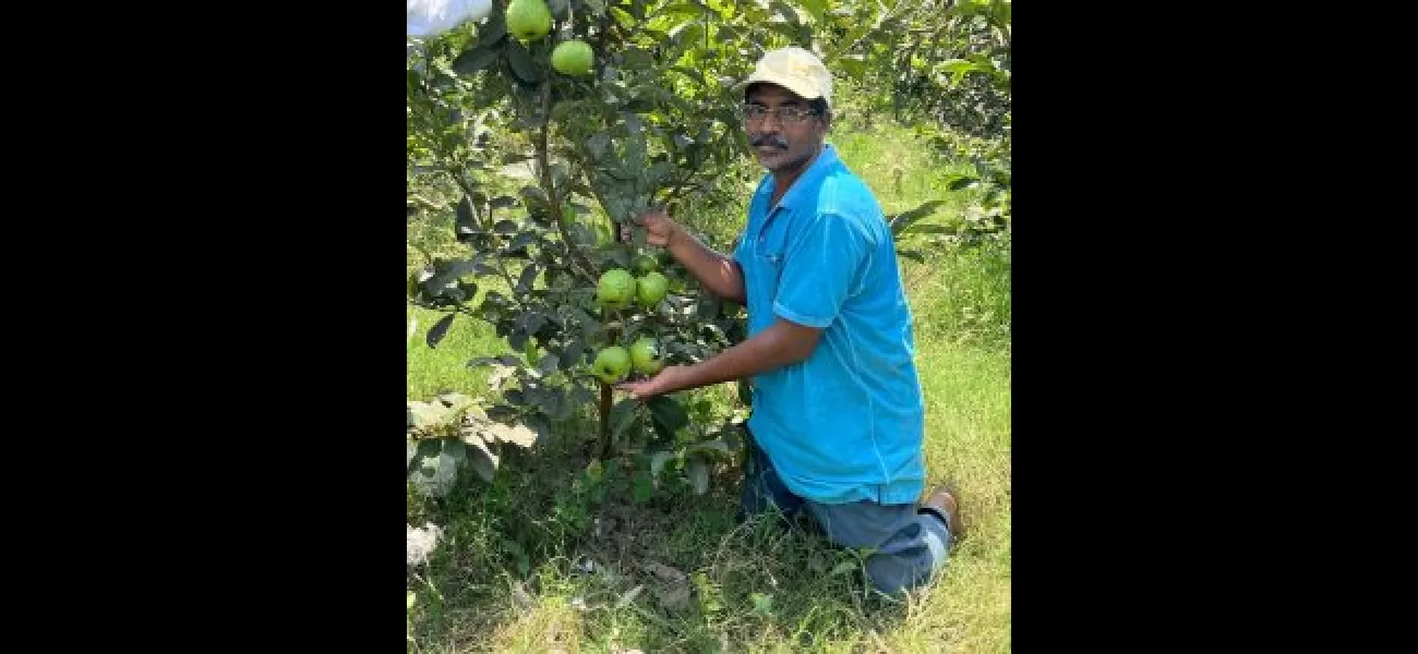 Creating fruit paradises in abandoned areas
