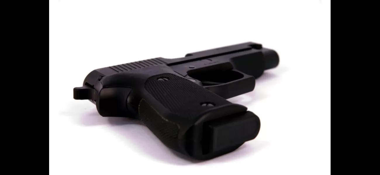 St. Louis couple who pointed guns at BLM protesters have their convictions erased by judge, now seeking return of their firearms.