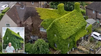 Neighbors have been asking a couple to trim their overgrown bushes for 40 years.