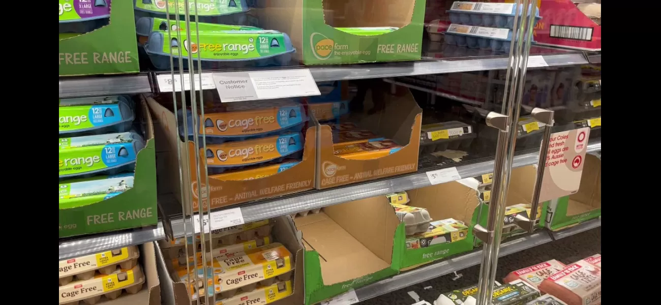 Egg producers call for more steps to be taken against avian flu as Coles implements buying restriction.