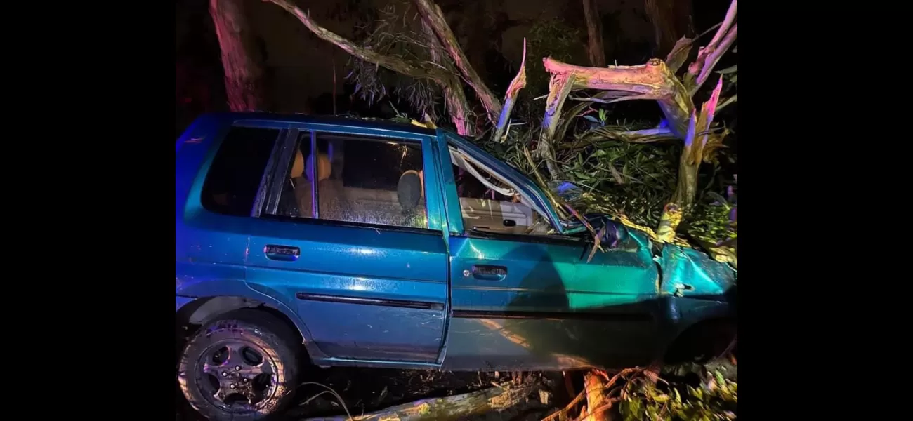 Southern states hit by icy weather, causing trees to fall due to strong winds.