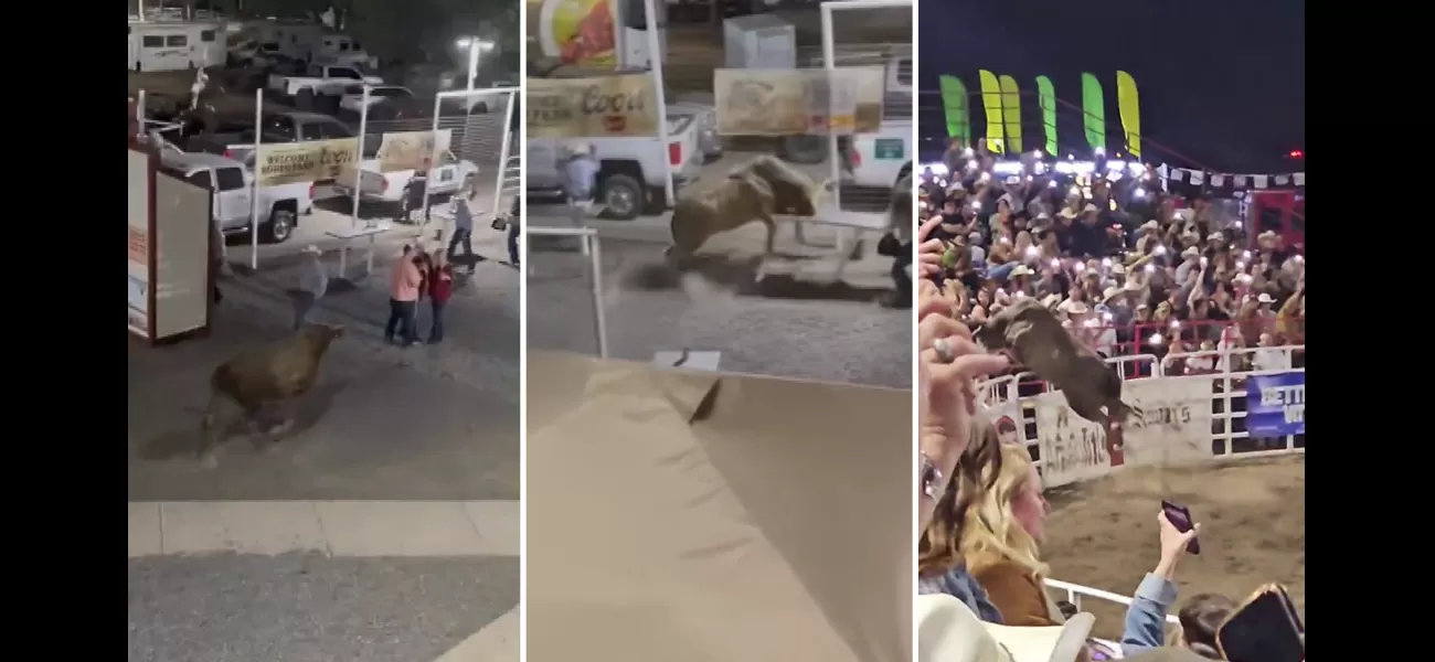 A rodeo bull jumped a fence at a US arena, causing injuries to three individuals.