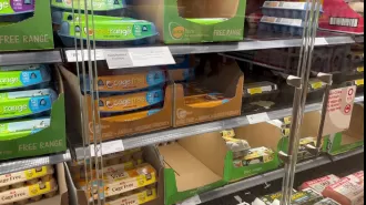 Egg producers call for more steps to be taken against avian flu as Coles implements buying restriction.