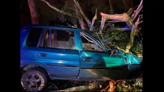 Southern states hit by icy weather, causing trees to fall due to strong winds.
