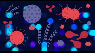 Record number of STI cases reported, learn how to prevent infection.