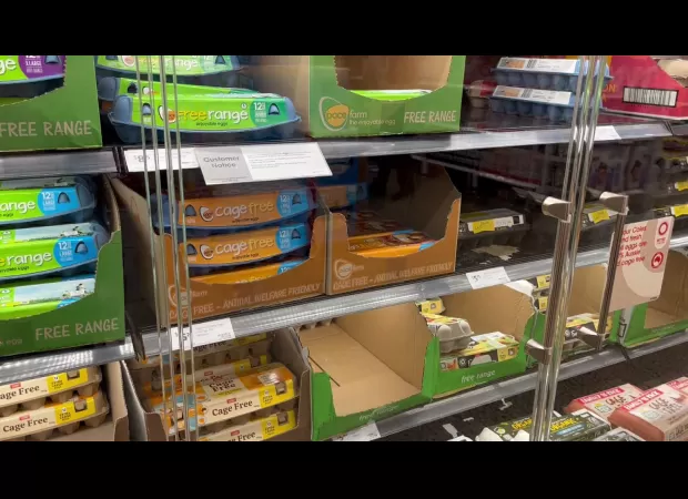 Egg producers call for more steps to be taken against avian flu as Coles implements buying restriction.