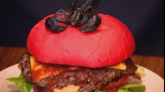 Get ready for our spiciest burger yet - it's topped with a scorpion and requires a waiver!