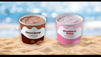 New vegan treat from McDonald's captures the taste of summer in one scoop.