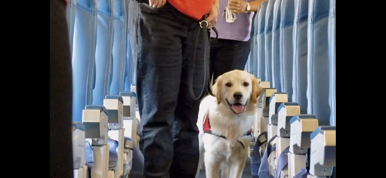 Westchester County is suing luxury dog airline BARK Air for violating seat limit regulations.