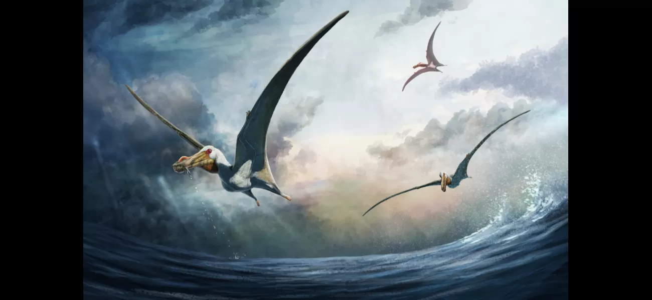 Archaeologists unearthed new species of prehistoric airborne reptile in Australian desert.