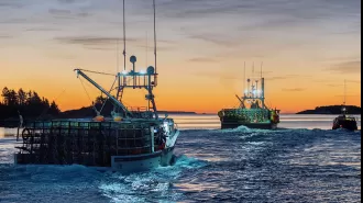 Lobster industry hopeful for Chinese premier's visit to lift ban.