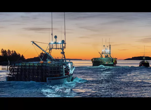 Lobster industry hopeful for Chinese premier's visit to lift ban.