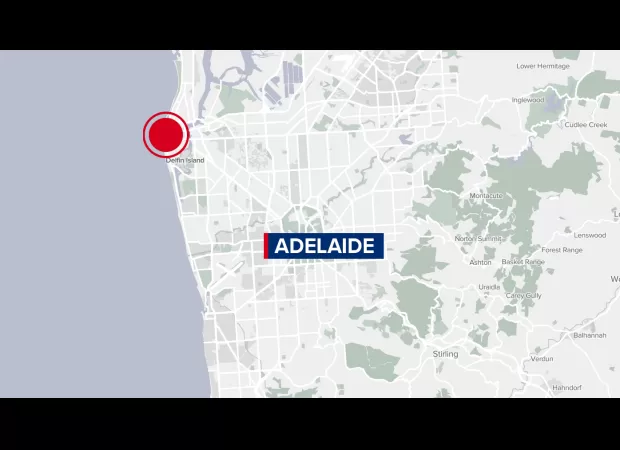 A cop rescues elderly woman from burning house.