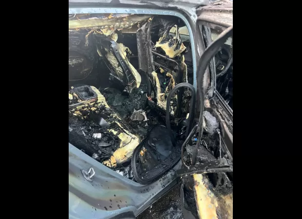 Sydney firefighter hurt by hybrid car catching fire on street.