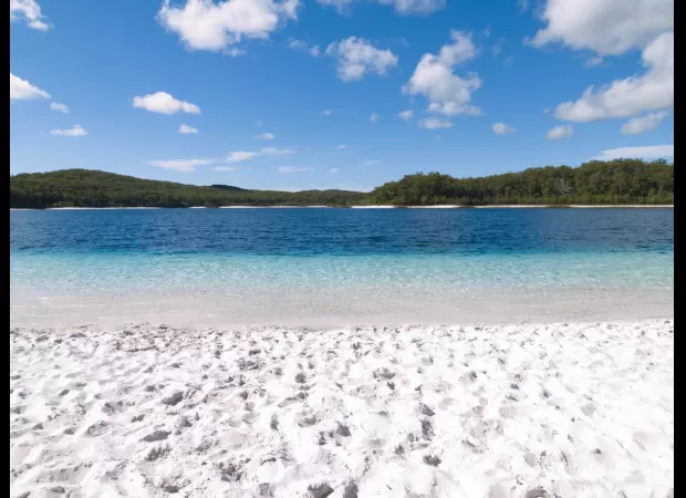 A father courageously scared off a dingo that attacked his child on K'gari island.