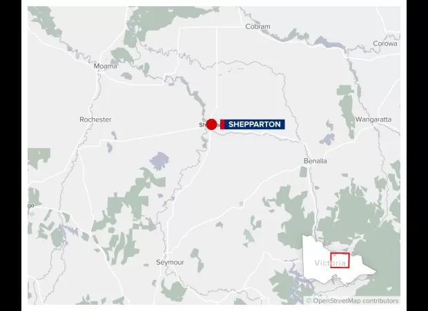 Cops bust drug ring, 11 arrested in town.