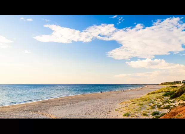 Five individuals taken into custody following discovery of drugs and money at beachfront residence in Adelaide.