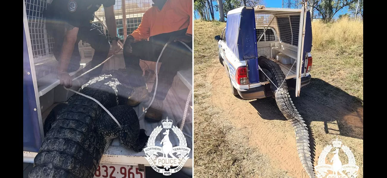 Crocodile that attacked kids captured and turned into 'big cultural banquet'