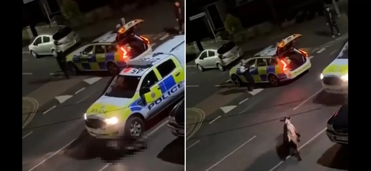 Home secretary condemns police car ramming cow in shocking video.