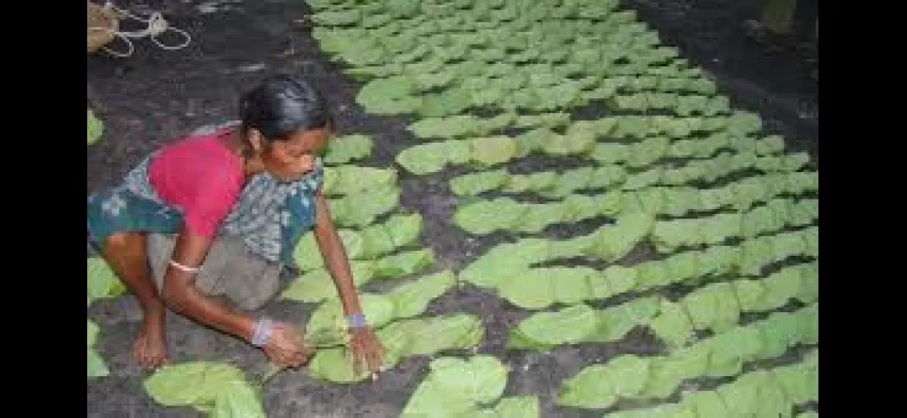 There is no rush for green gold in Jharsuguda.