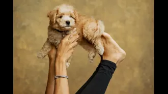 Yogis resisting trendy fads like puppies and paddleboards.
