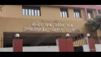 A new type of snake eel is found in Odisha by scientists.
