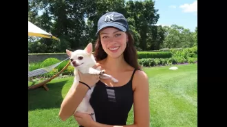 Actress Nicola Peltz Beckham shares heartbreaking news of her dog's death after a visit to the groomers.