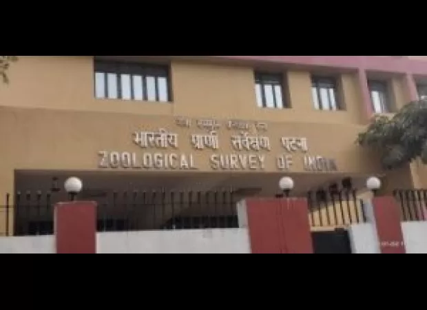 A new type of snake eel is found in Odisha by scientists.