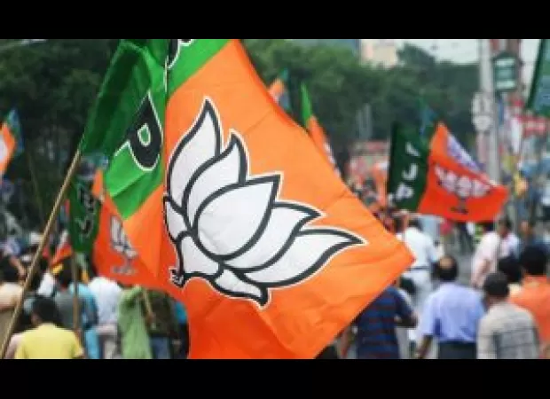 BJP rejects Elon Musk's claim about electronic voting machines, calling it a 'sweeping generalization.'