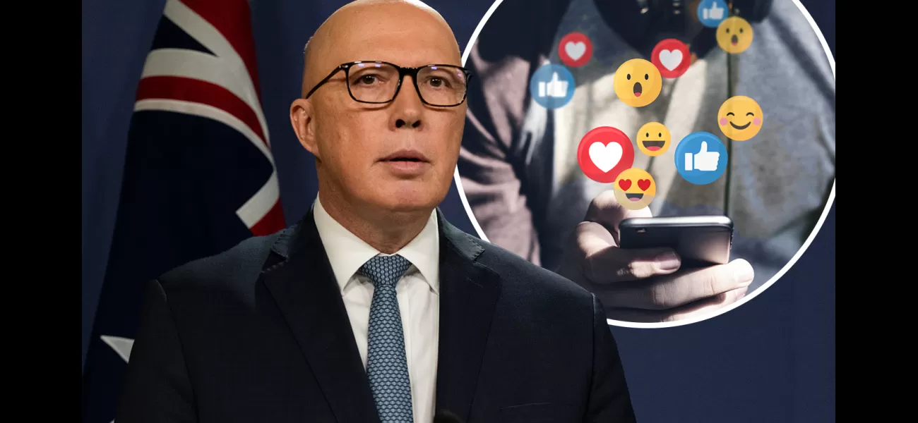 Experts criticize Dutton's ban on social media for teens as a flawed approach.