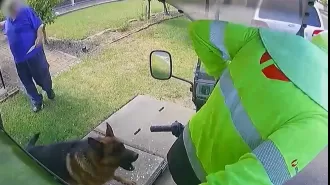 Study reveals state with highest number of dog attacks on postal workers.