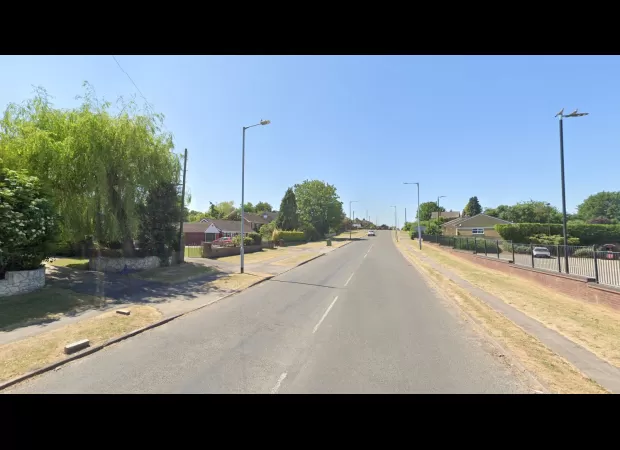 16-year-old boy dies after being struck by a falling tree.