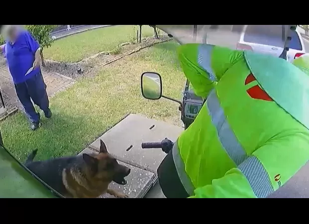 Study reveals state with highest number of dog attacks on postal workers.