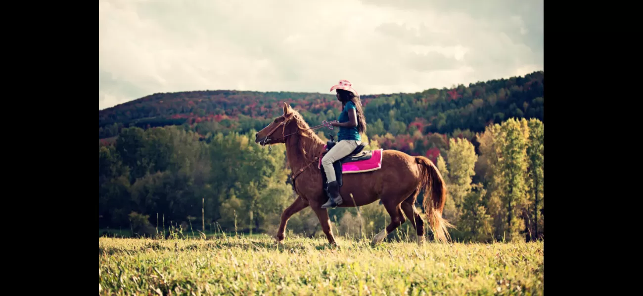 Experience the vibrant celebration of Juneteenth through a colorful Wild West rodeo and agriculture expo.
