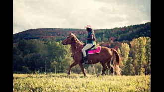 Experience the vibrant celebration of Juneteenth through a colorful Wild West rodeo and agriculture expo.