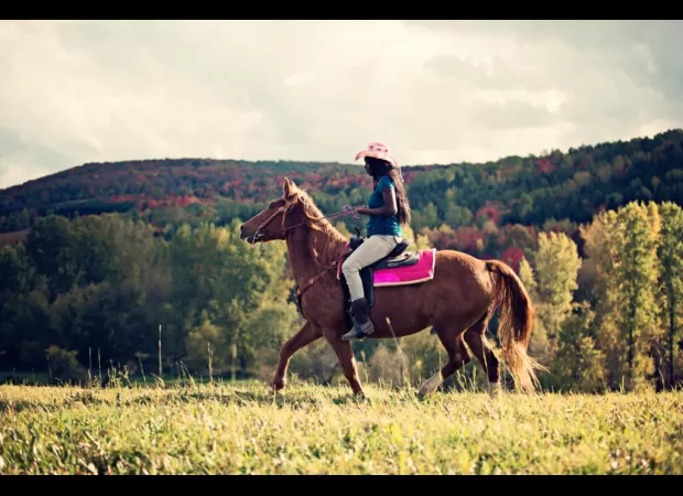 Experience the vibrant celebration of Juneteenth through a colorful Wild West rodeo and agriculture expo.