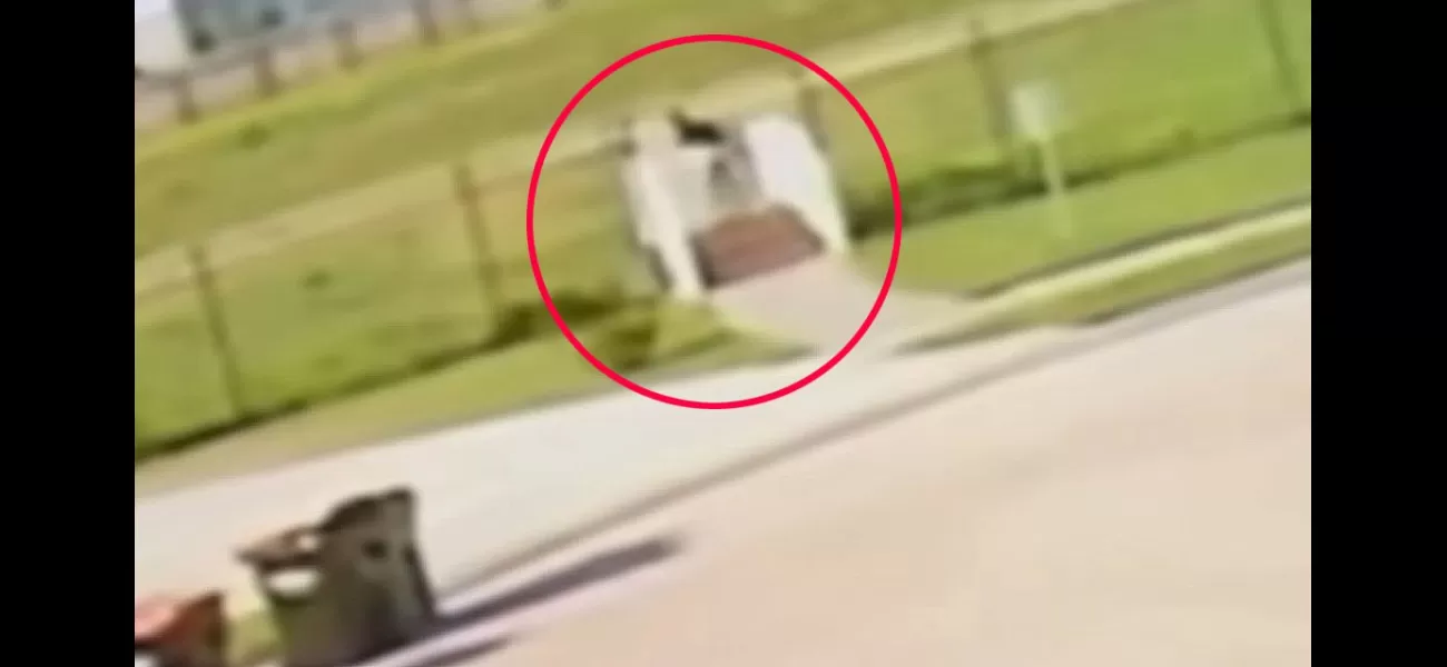 Newborn baby discovered by couple, still attached to umbilical cord and abandoned.