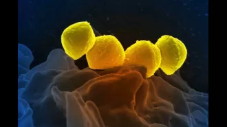 Deadly bacterial infection in Japan reaches all-time high, according to reports.