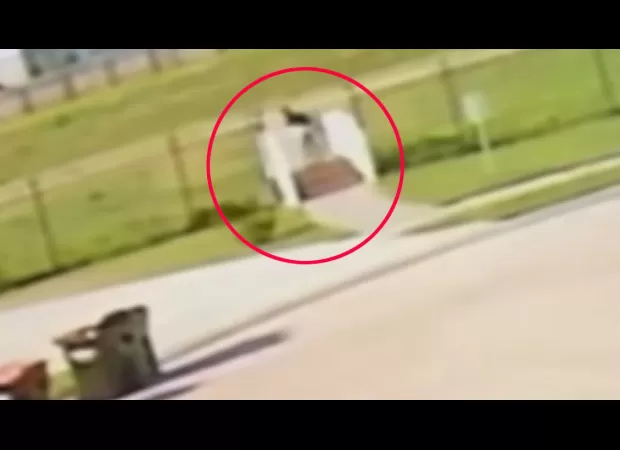 Newborn baby discovered by couple, still attached to umbilical cord and abandoned.