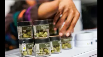 An Illinois cannabis company is organizing a fundraiser on Juneteenth to support local economic growth.